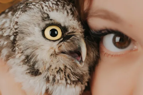 Efbet Casino Υποστηριξη